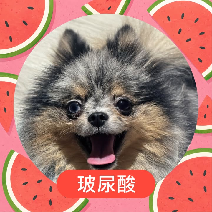 玻尿酸的照片