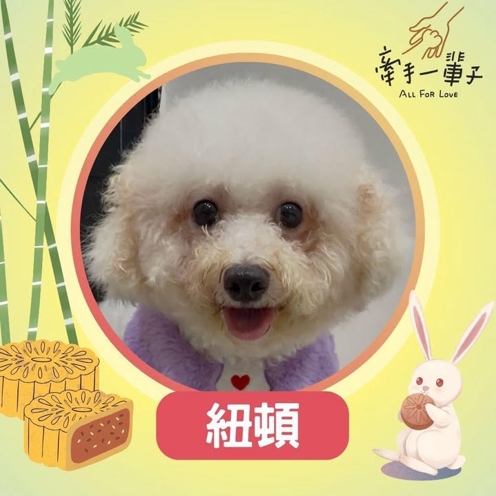 紐頓的照片