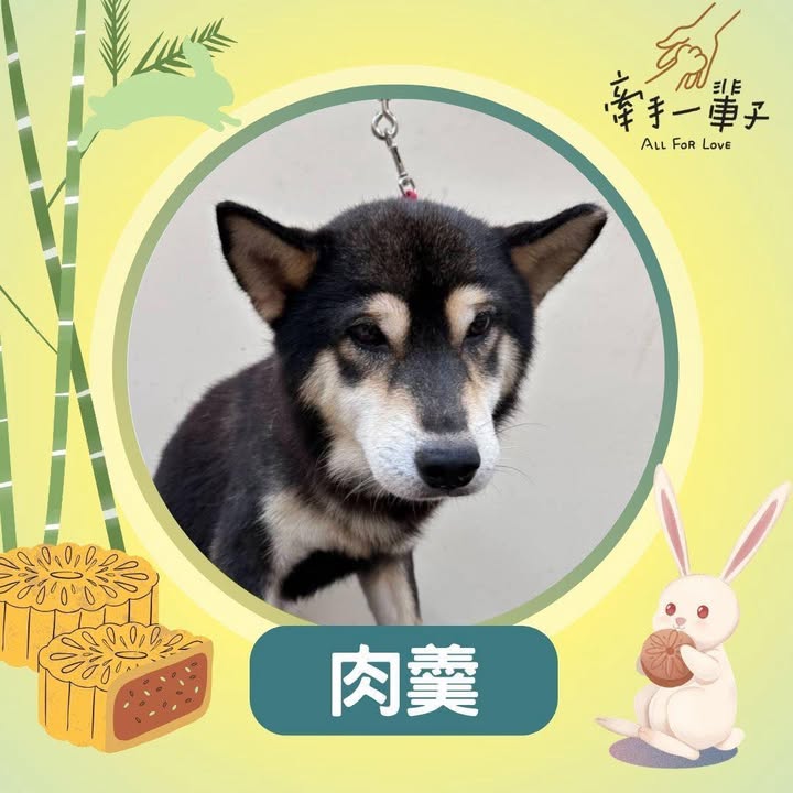 肉羹的照片