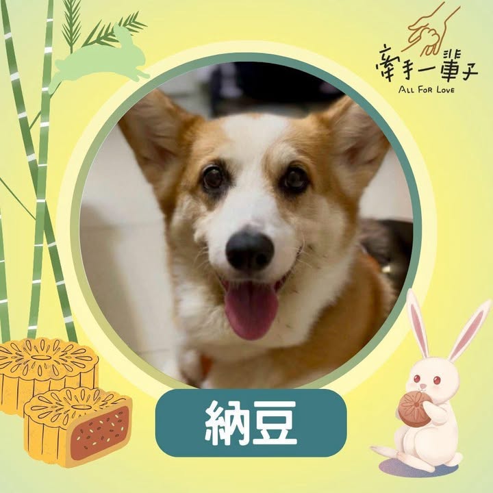 納豆的照片