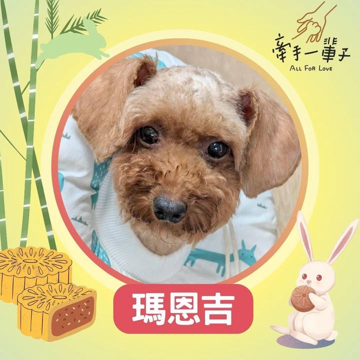 瑪恩吉的照片