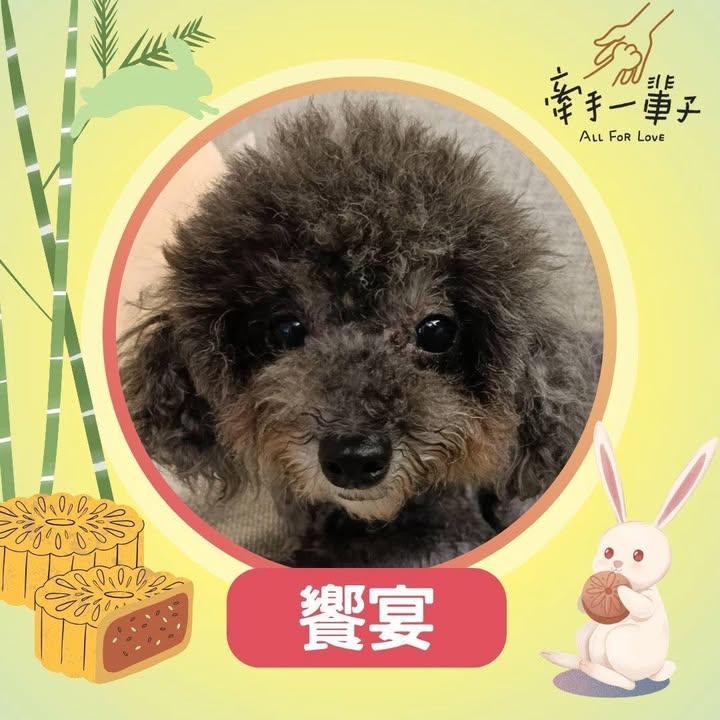 饗宴的照片
