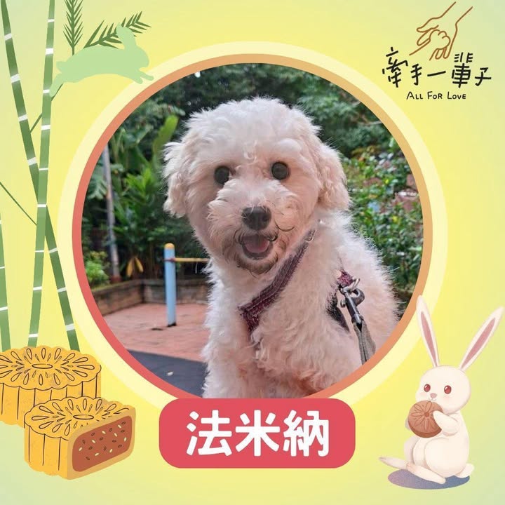 法米納的照片