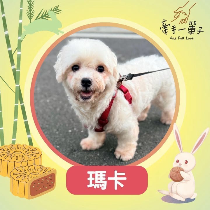 瑪卡的照片