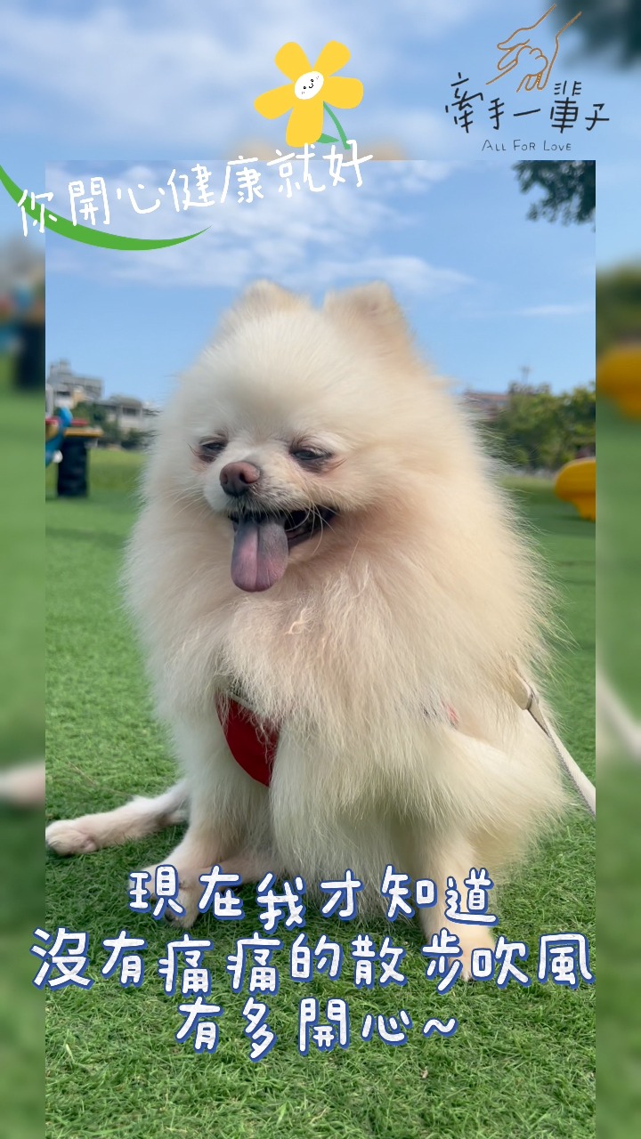 安德的照片