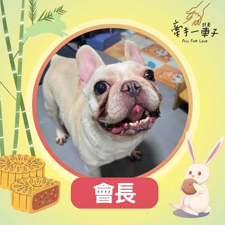 會長的照片