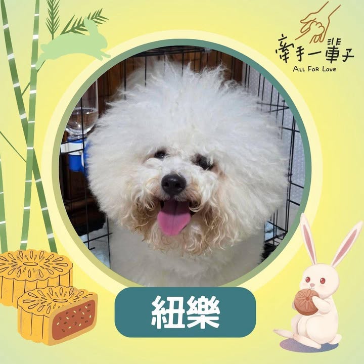 紐樂的照片