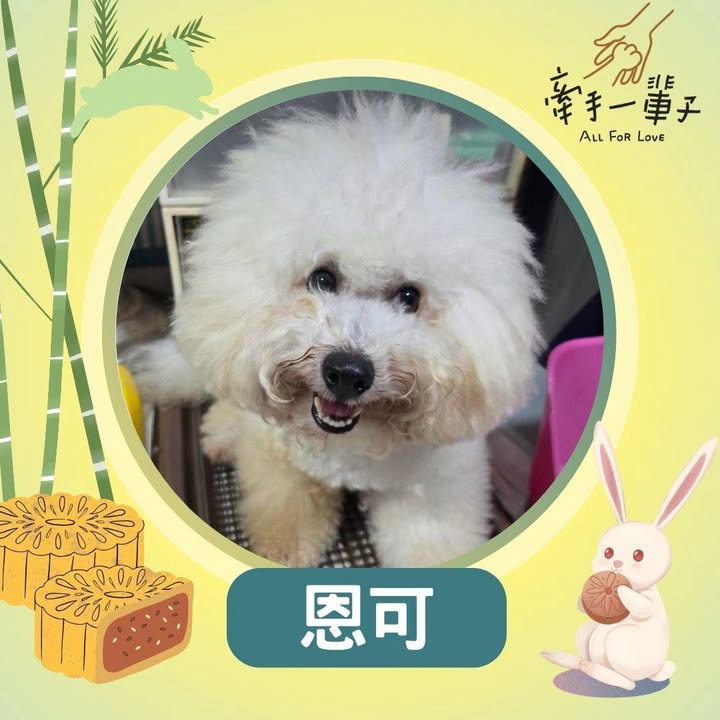 恩可的照片