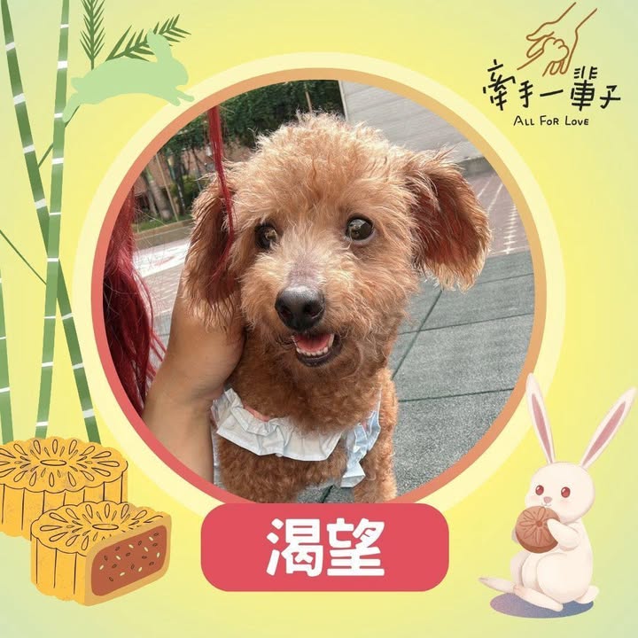 渴望的照片
