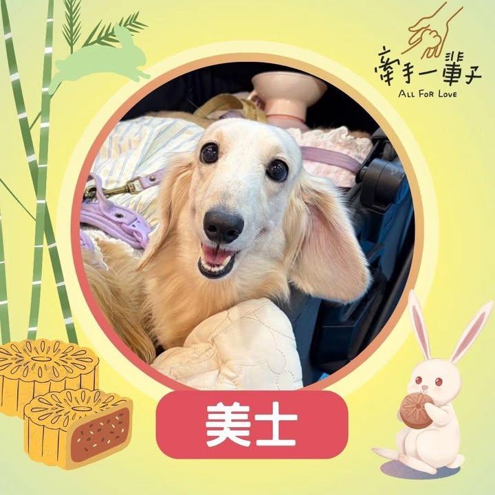 美士的照片