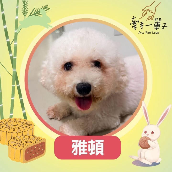 雅頓的照片