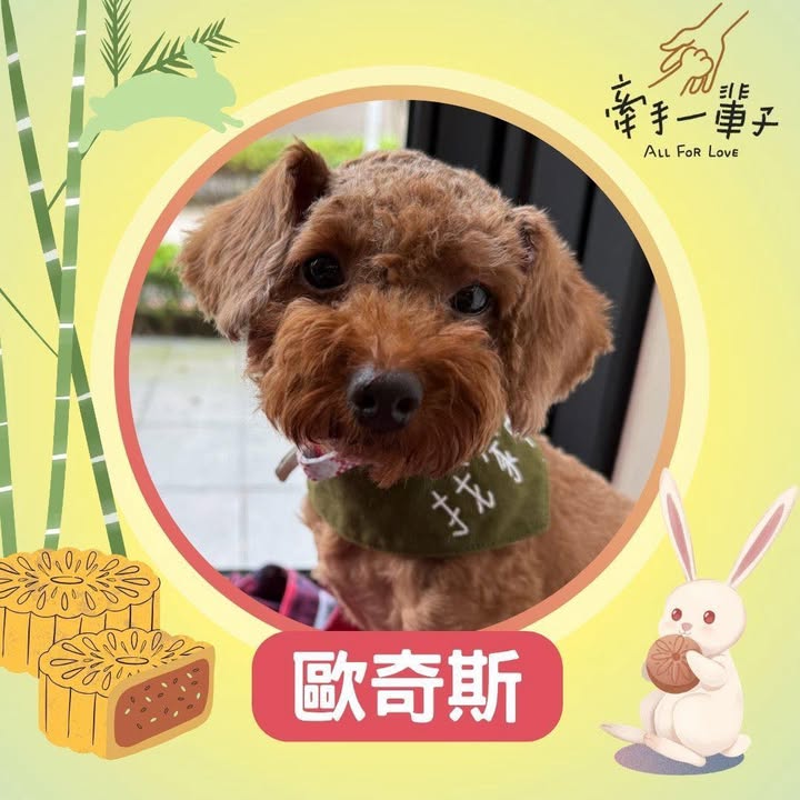 歐奇斯的照片