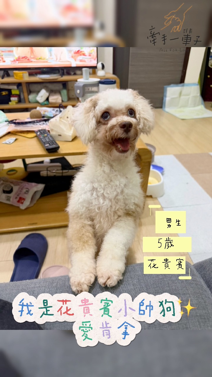 愛肯拿的照片