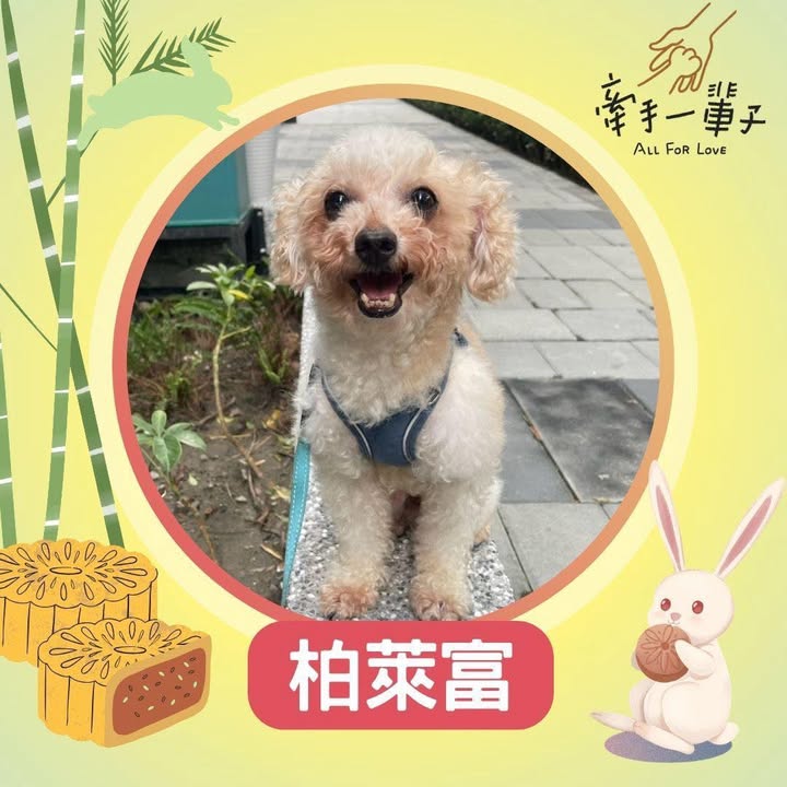 柏萊富的照片
