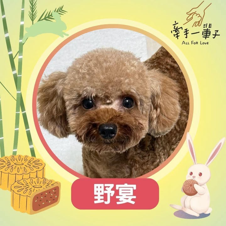 野宴的照片