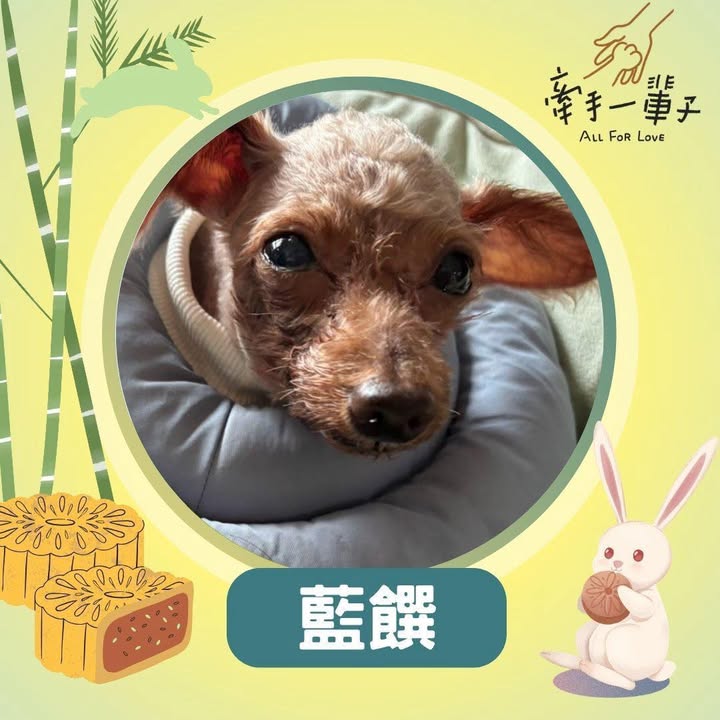 藍饌的照片