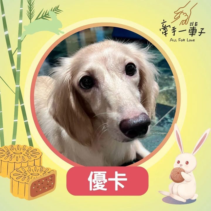 優卡的照片