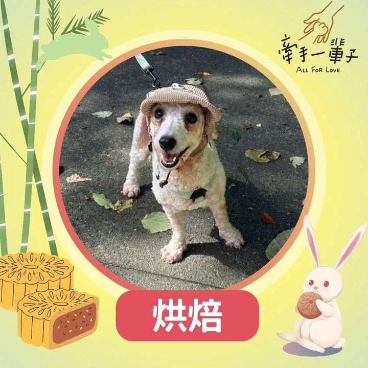 烘培的照片