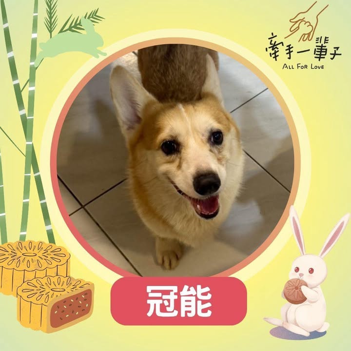 冠能的照片