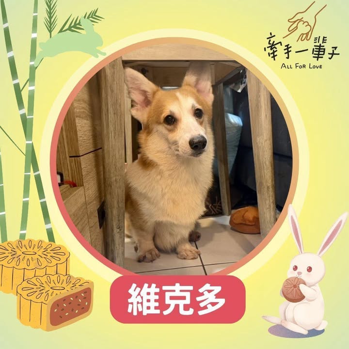 維克多的照片