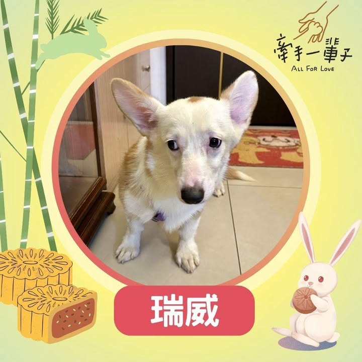 瑞威的照片