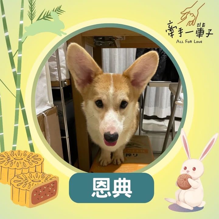 恩典的照片