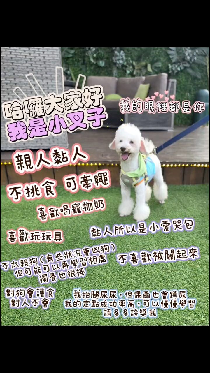 小叉子的照片